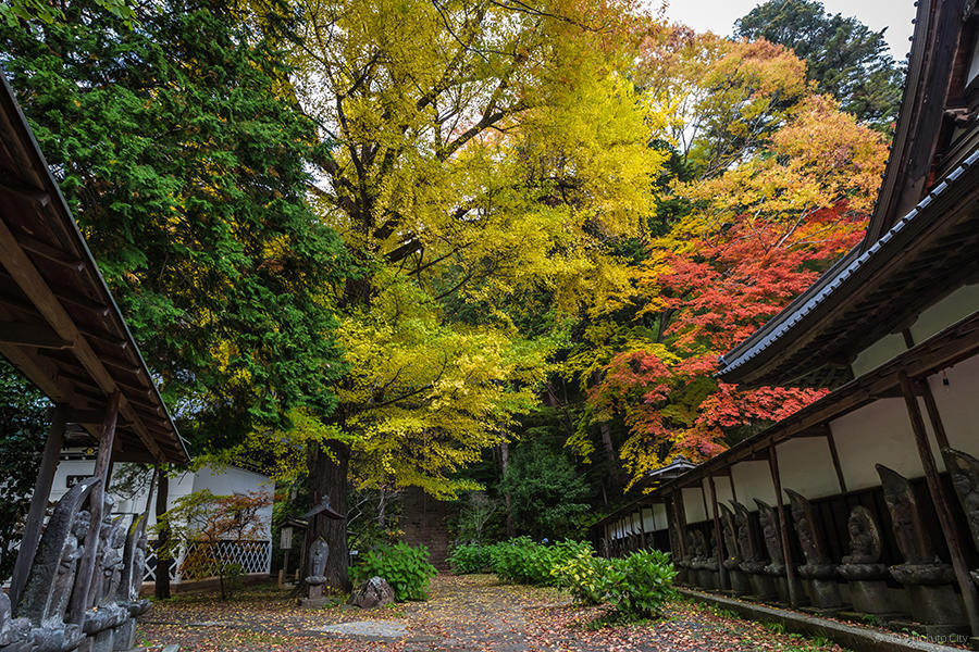 05.津金の三代校舎と海岸寺と石仏群 22の写真