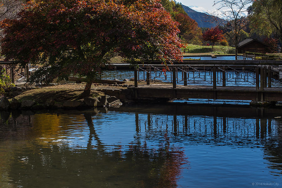 06.長澤の鯉のぼりと花の森公園 17
