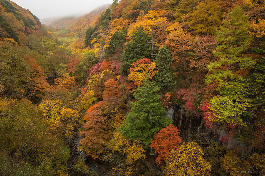 09.東沢大橋とまきば公園からの景観 13の写真