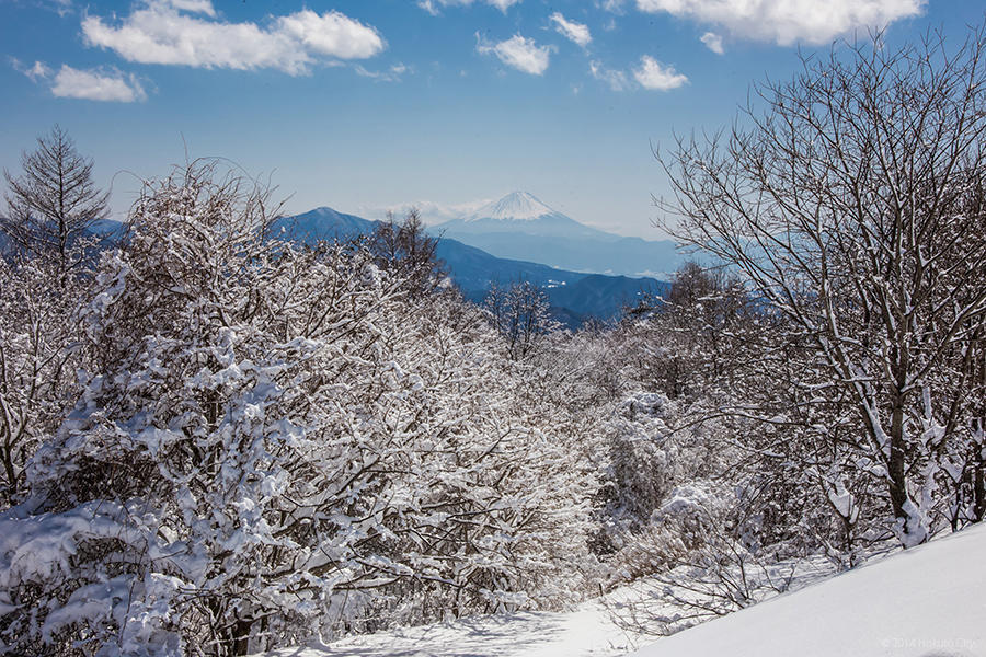 09.東沢大橋とまきば公園からの景観 28の写真