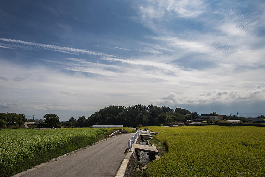 11.谷戸城趾からの田園風景と金生遺跡 10の写真