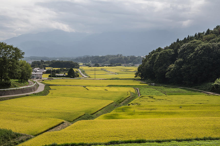 11.谷戸城趾からの田園風景と金生遺跡 13の写真