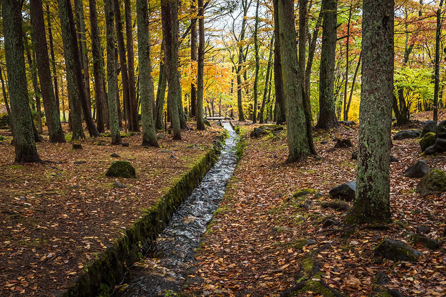 14.三分一湧水と平山郁夫シルクロード美術館 14