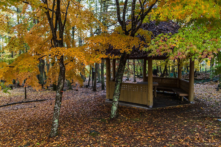 14.三分一湧水と平山郁夫シルクロード美術館 17の写真