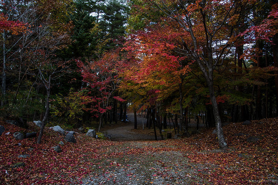 20.名水公園べるがと甲斐駒ヶ岳 14