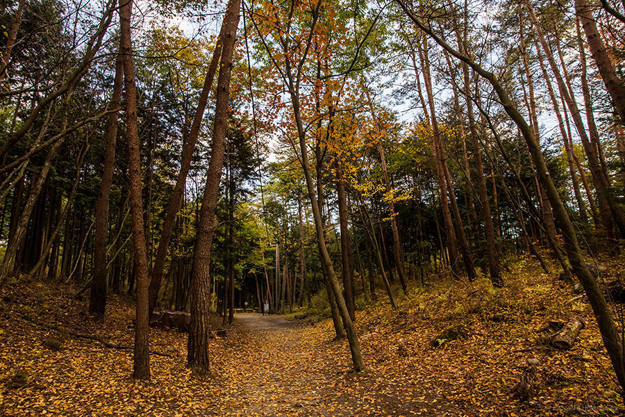 20.名水公園べるがと甲斐駒ヶ岳 15の写真