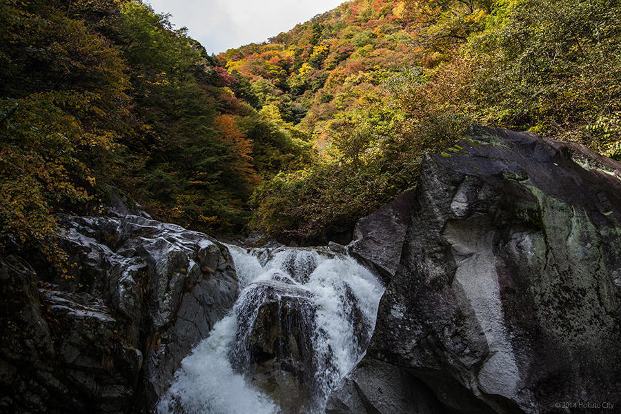 21.名水、尾白川渓谷 07の写真