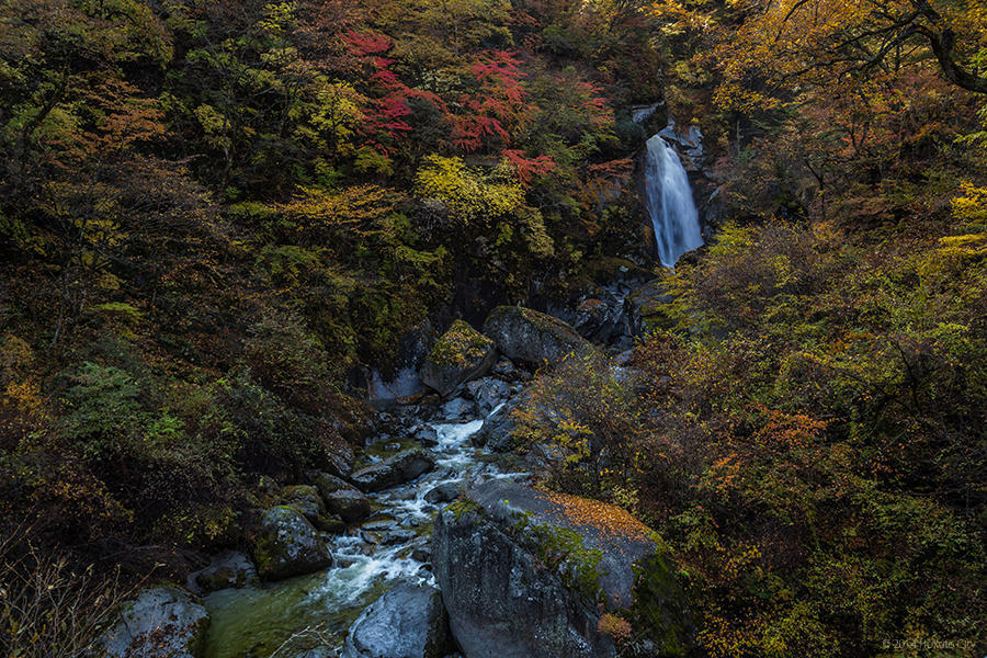 21.名水、尾白川渓谷 11の写真