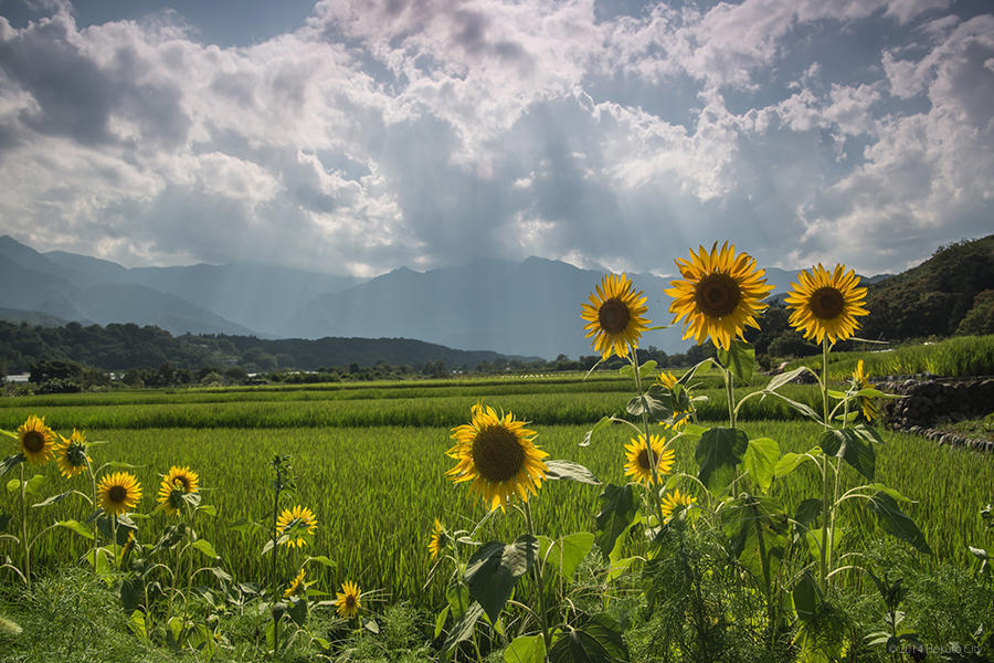 23.武川米の郷、田園風景 03の写真