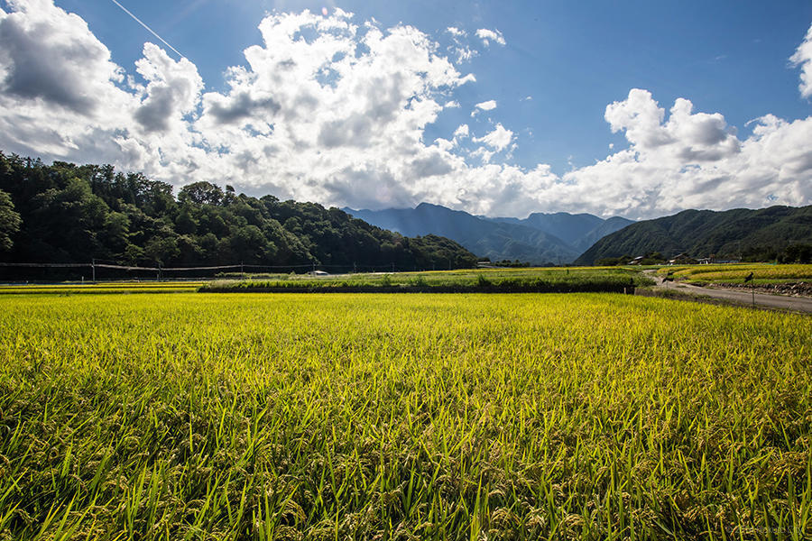 23.武川米の郷、田園風景 06の写真