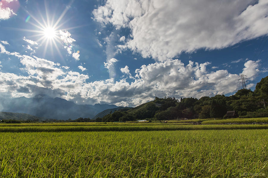 23.武川米の郷、田園風景 08の写真