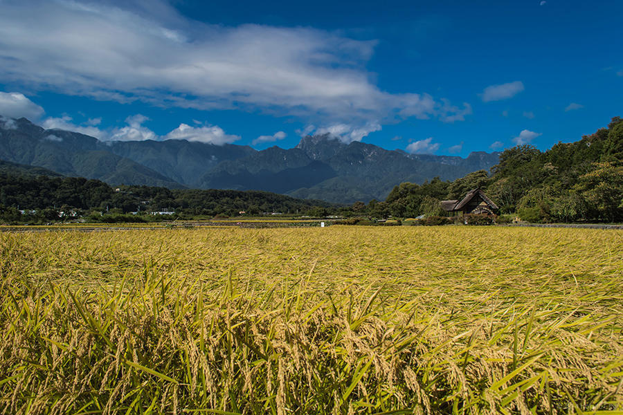 23.武川米の郷、田園風景 12の写真