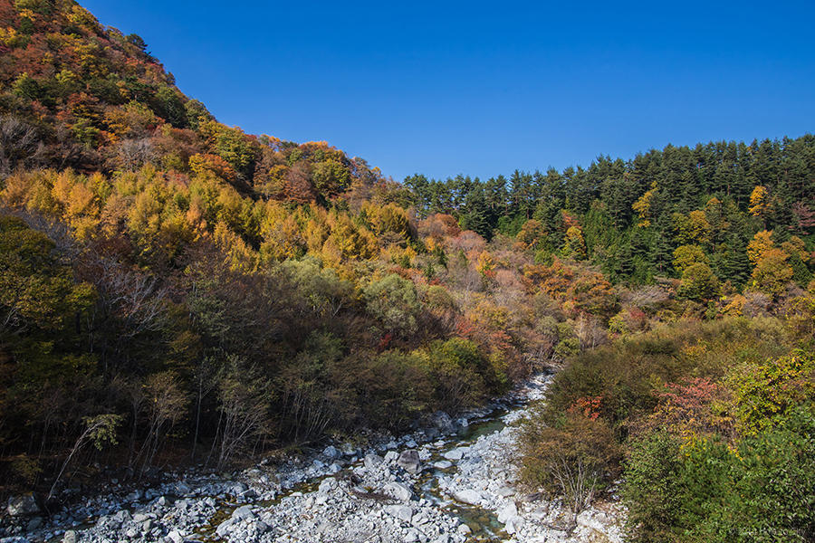 24.精進ヶ滝と石空川渓谷 11の写真