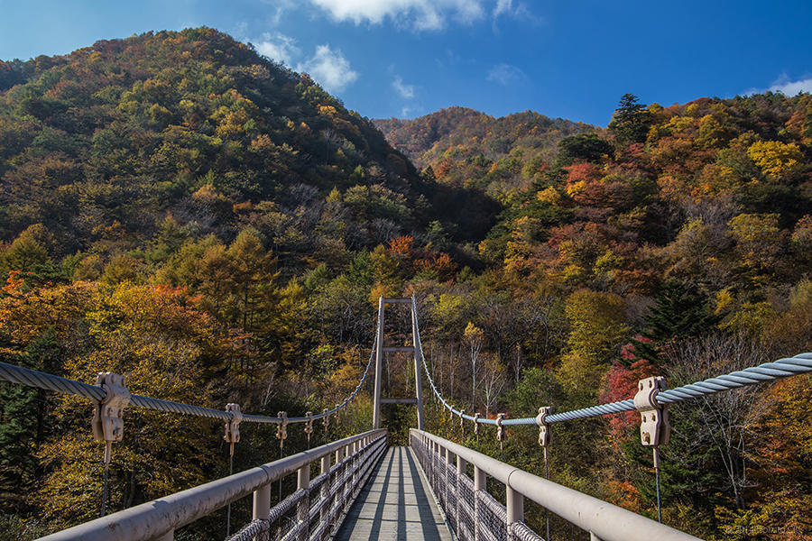 24.精進ヶ滝と石空川渓谷 13の写真