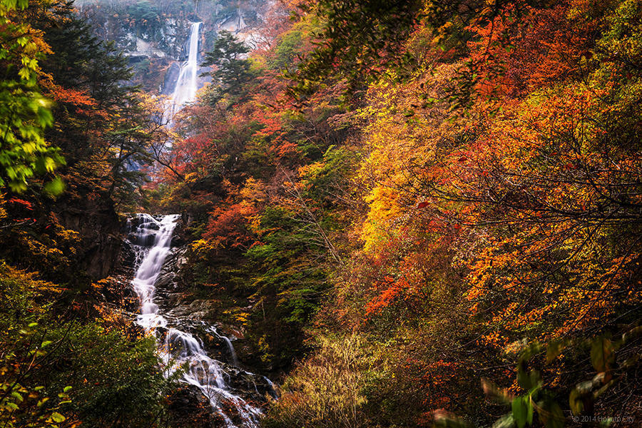 24.精進ヶ滝と石空川渓谷 14の写真