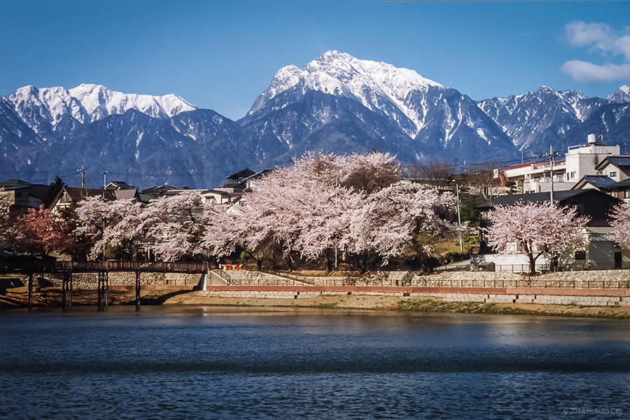 甲斐駒ヶ岳 01の写真