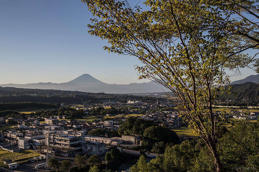 富士山 11の写真