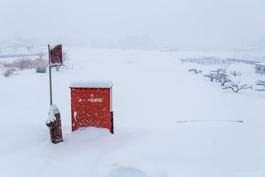 雪景色 01の写真