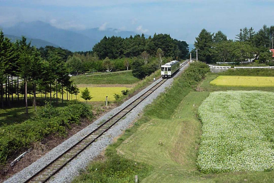 蕎麦畑と小海線の写真