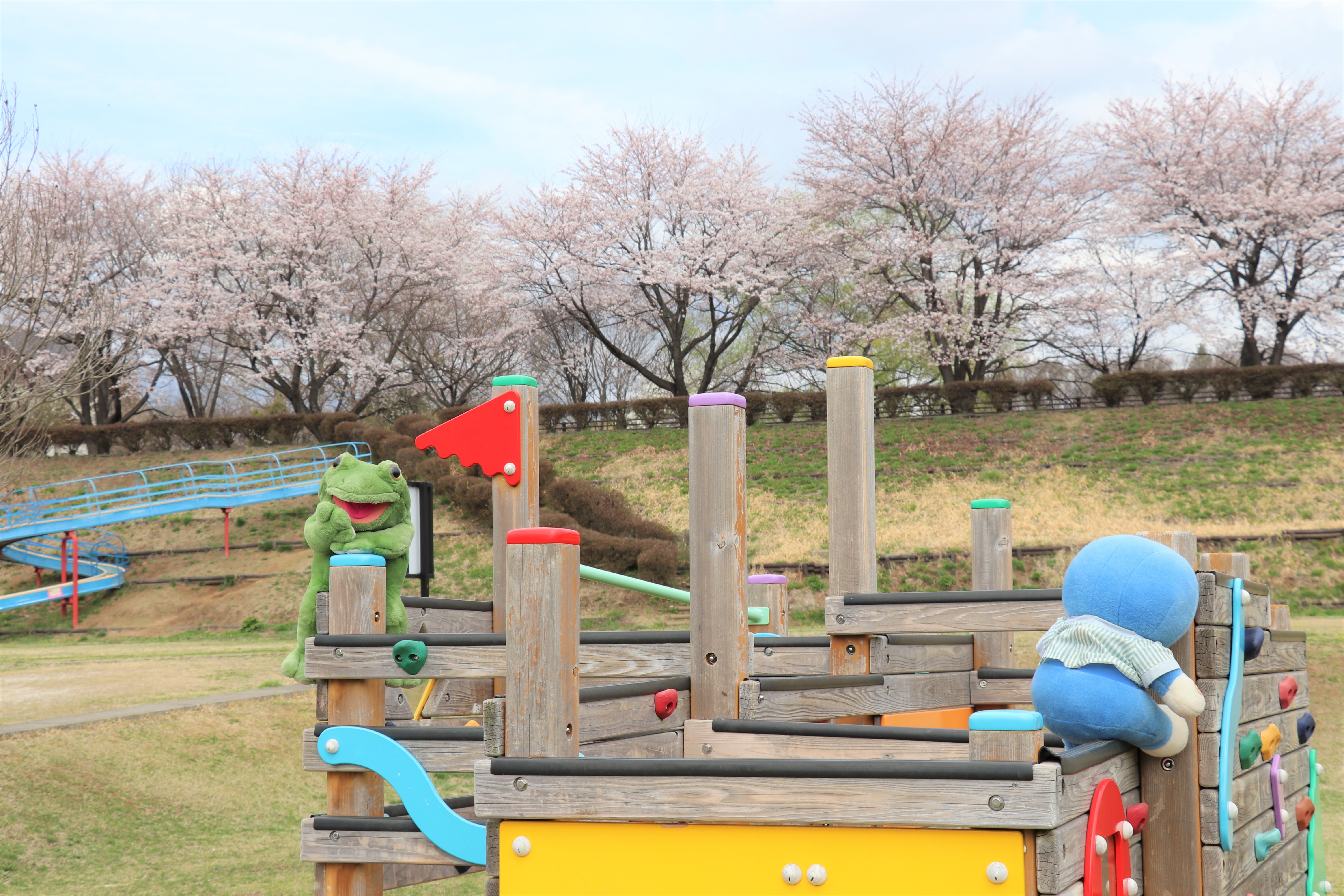 ふるさと公園 遊具で遊ぶ.JPG