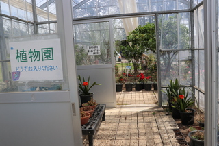 19.植物園.JPG