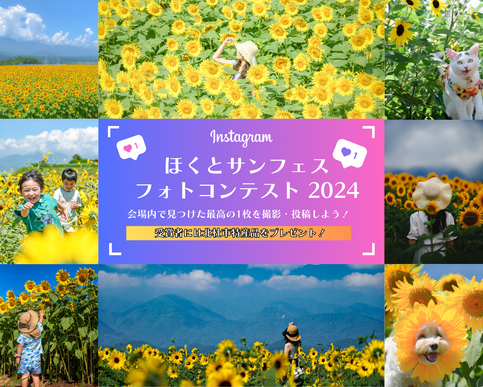 ほくとサンフェスフォトコンテスト2024作品募集