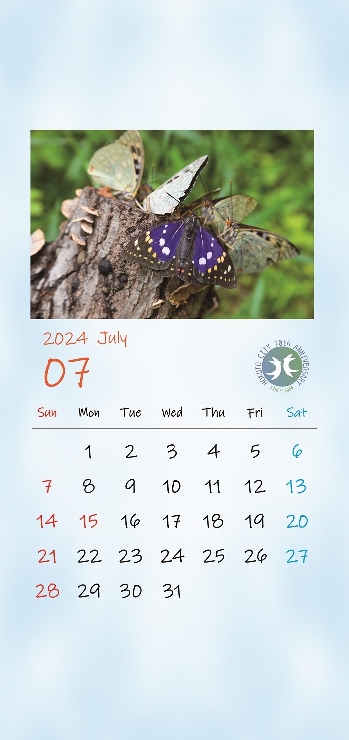 【スマホ】7月_サムネオオムラサキ.jpg