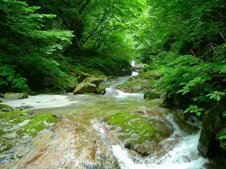 4794_01.jpg