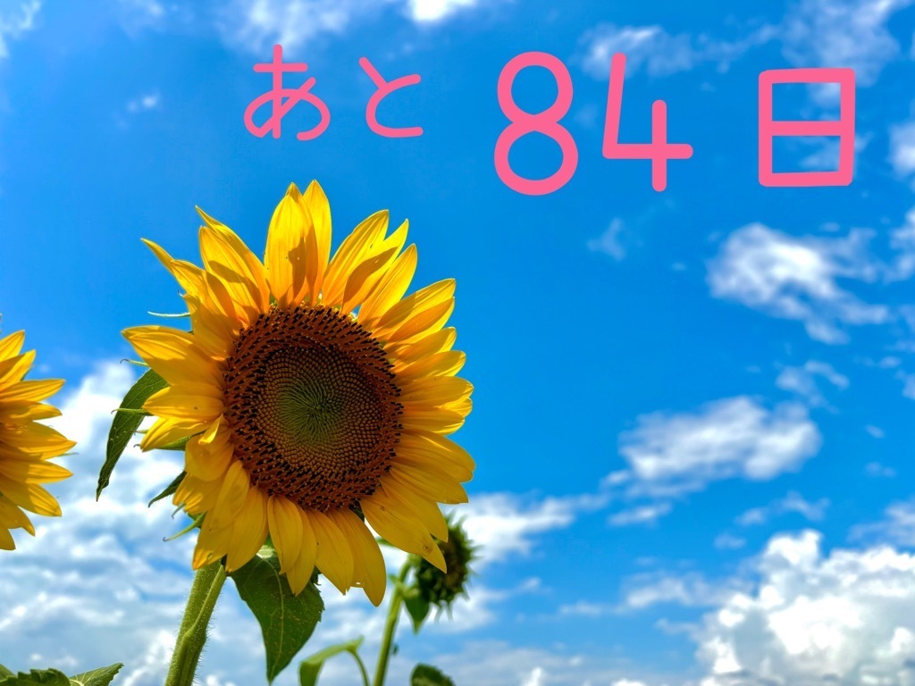 ひの