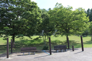 27ミスト2.JPG