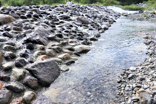30川浅瀬4jpg.jpg
