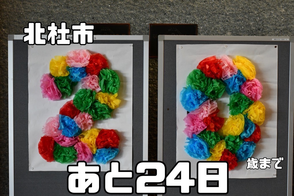 わんす