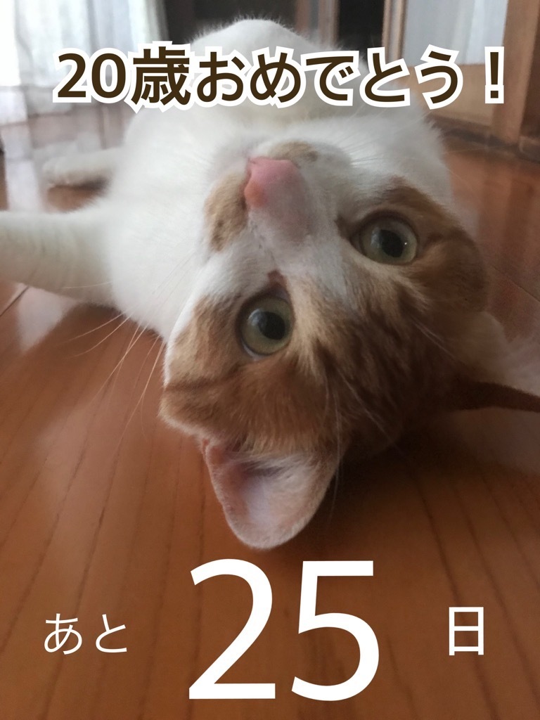 こてつ