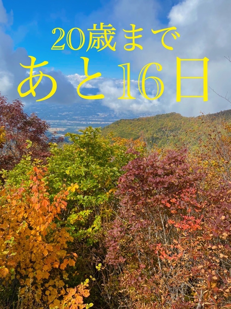 タケンティー