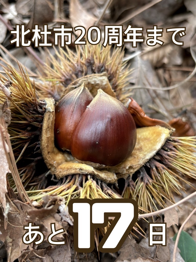 ノブ