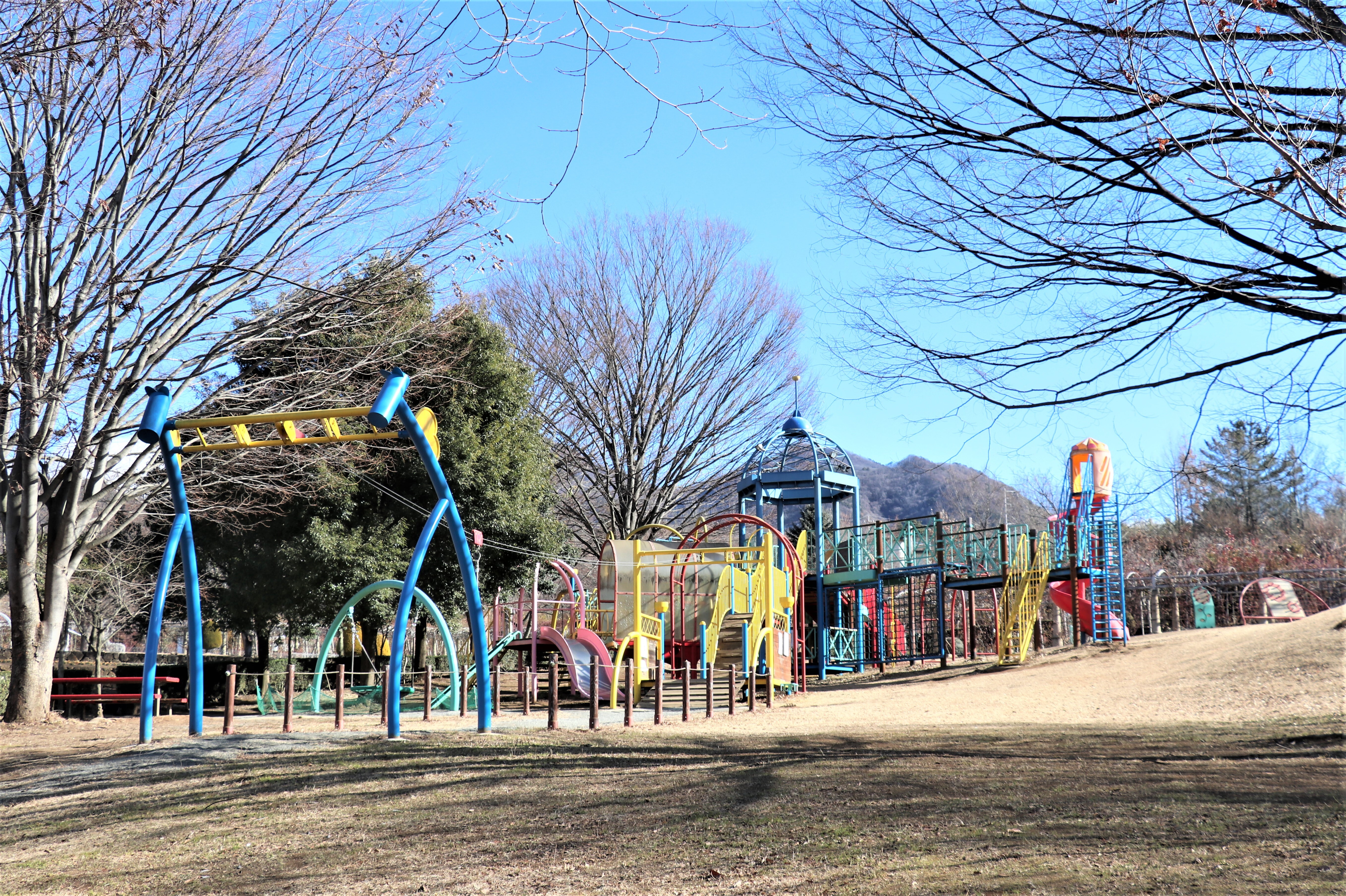 6複合遊具.jpg