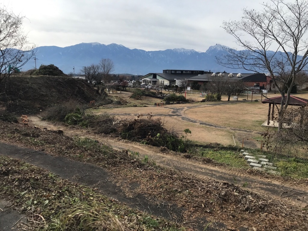 2412伐採状況1.jpg