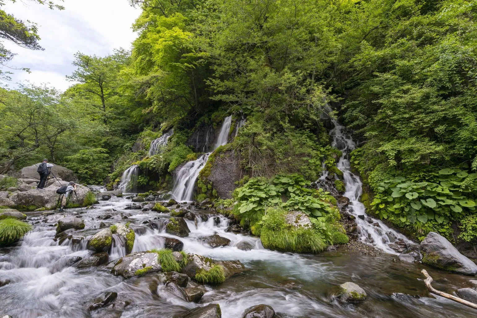 川俣川渓谷：吐竜の滝（かわまたがわけいこく どりゅうのたき）- 登山コースガイド