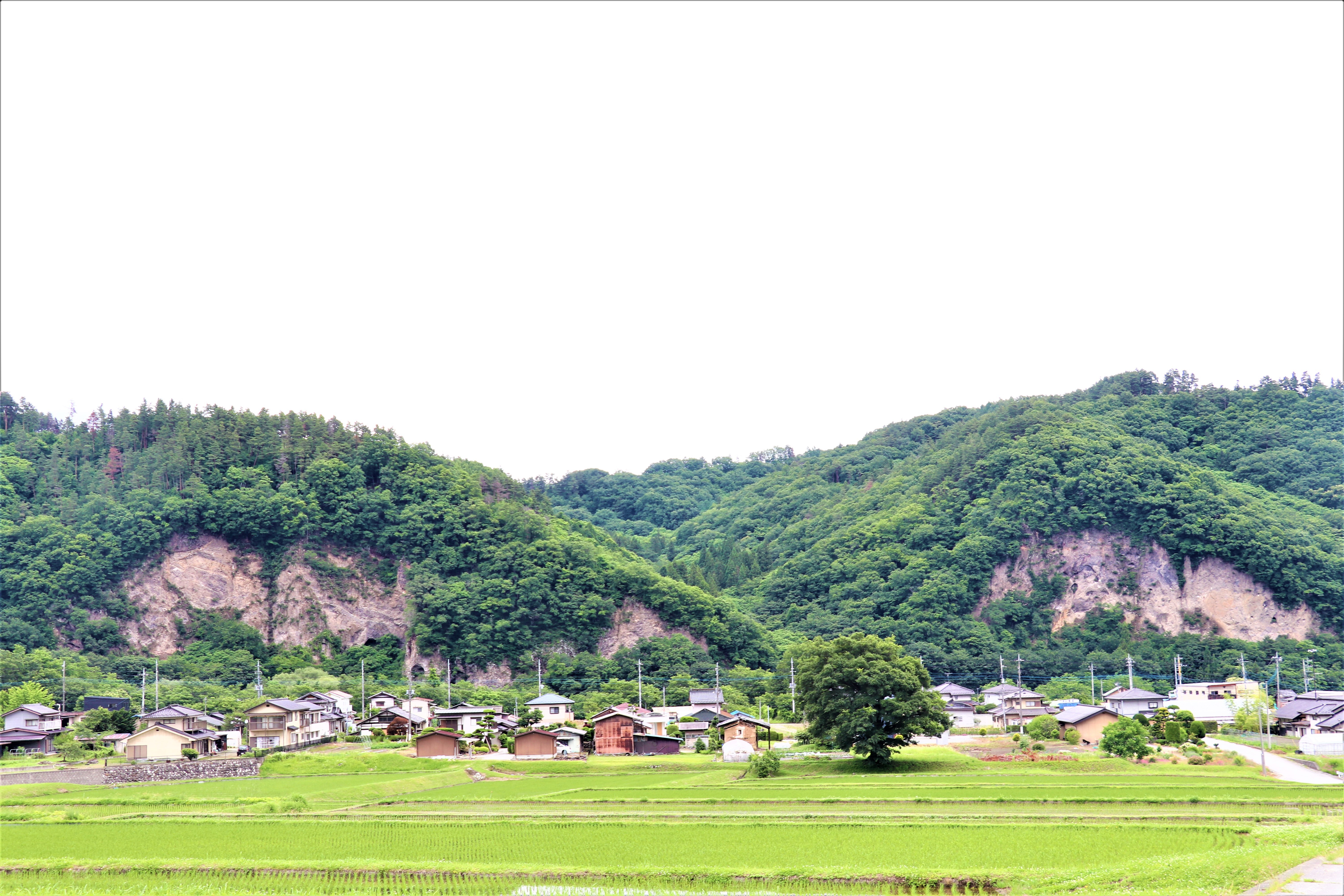 3七里岩.jpg