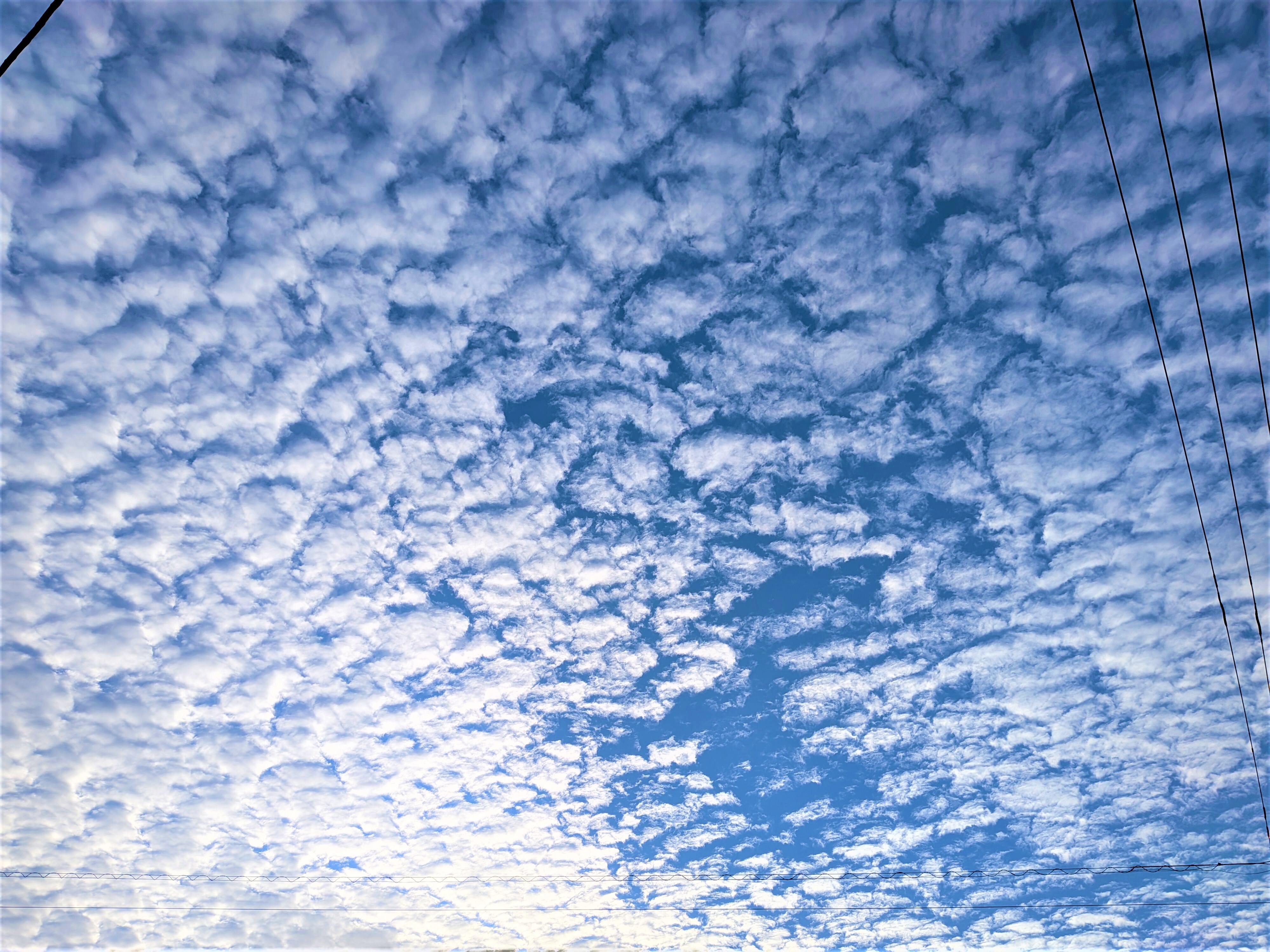 1秋のイワシ雲.jpg