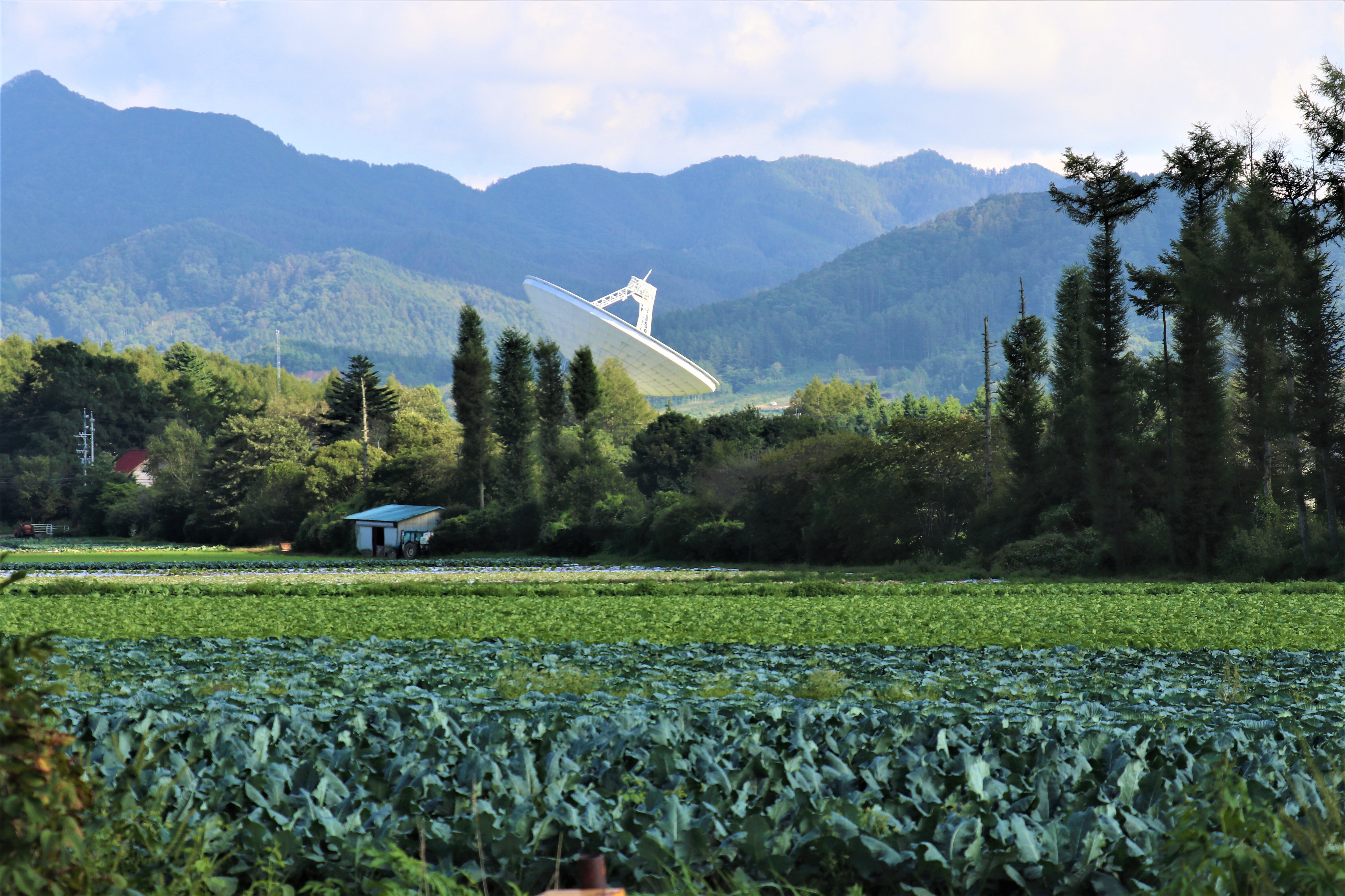 3高原野菜とアンテナ.JPG
