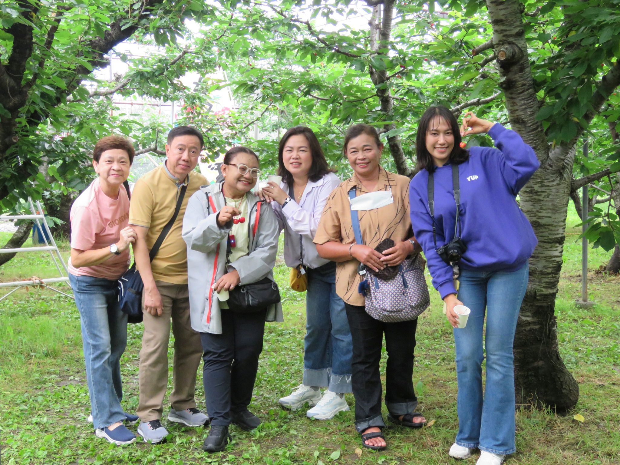 インバウンド団体ツアー