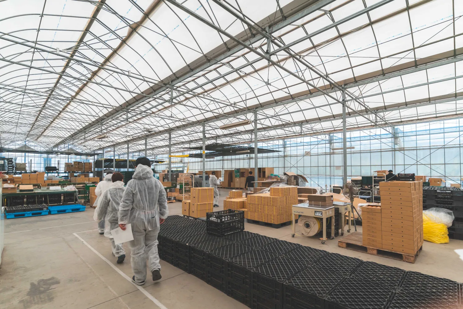 九州明野屋ファーム-ハウス内風景