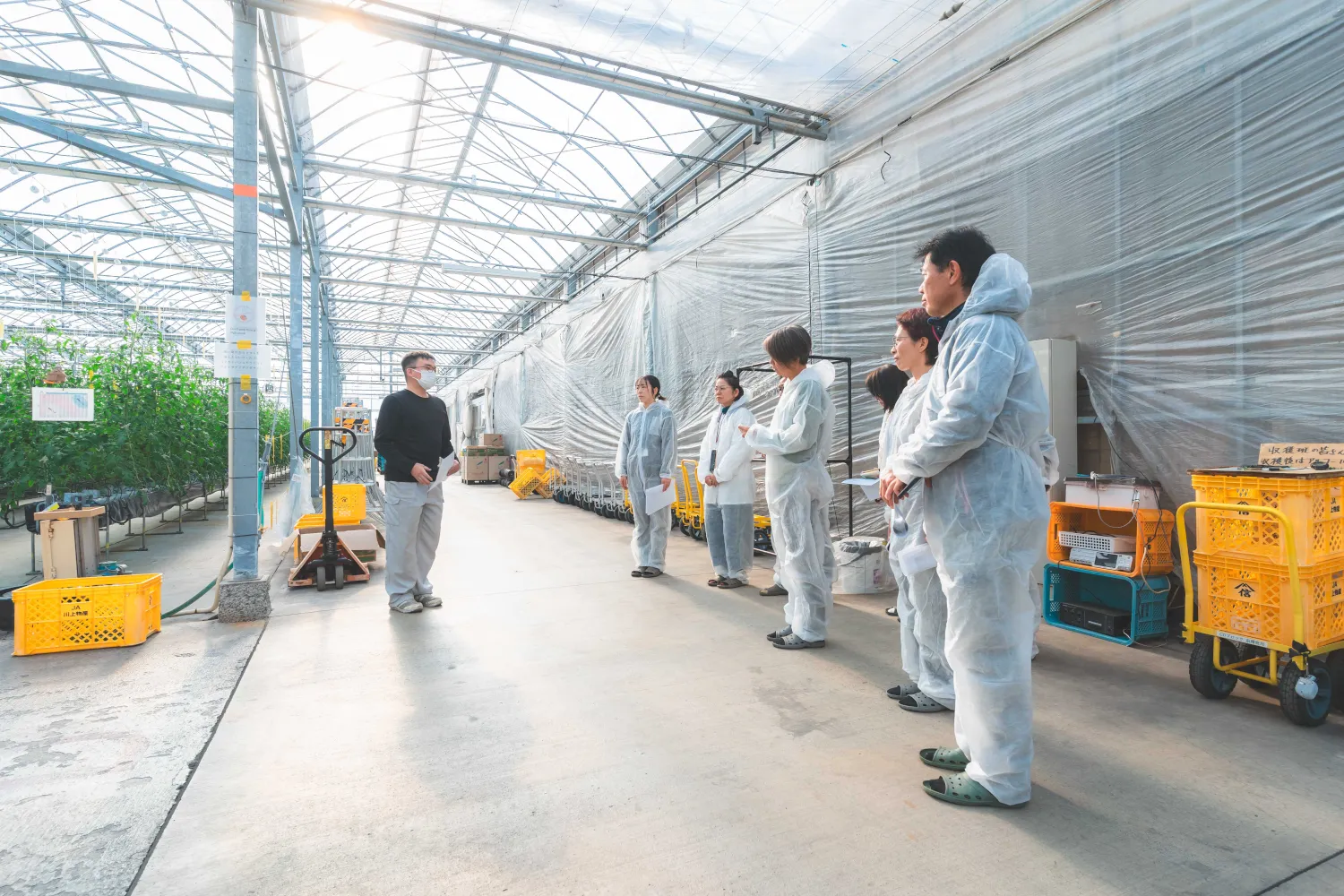 明野九州屋ファーム-見学風景01