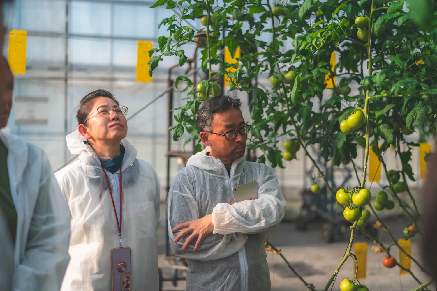 明野九州屋ファーム-見学風景03