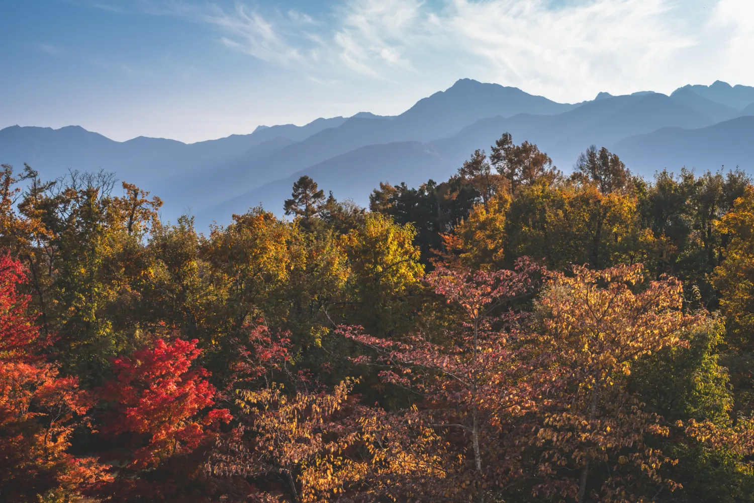 アルソアから望む甲斐駒ヶ岳