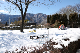 雪でお庭真っ白なお庭