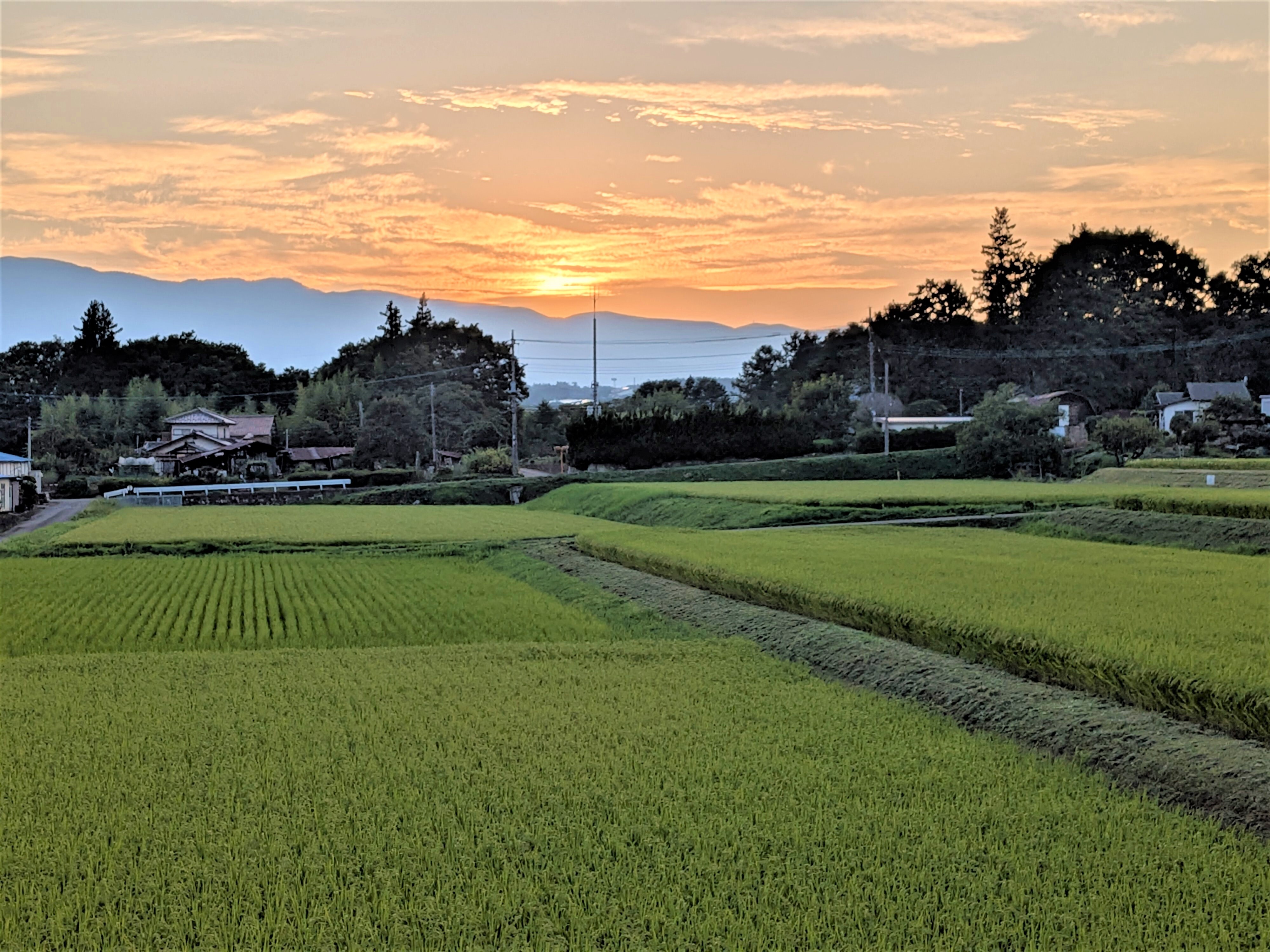 12夕暮れ.jpg