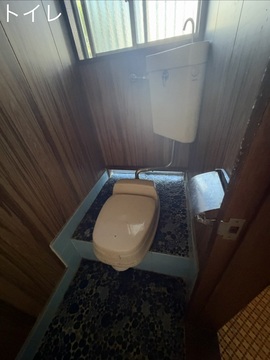 12 (JPG 177KB)