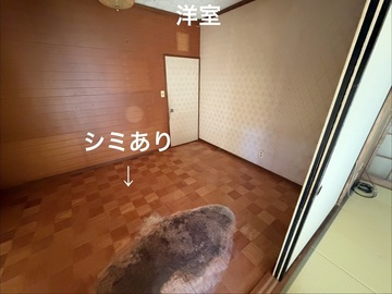 6 (JPG 194KB)